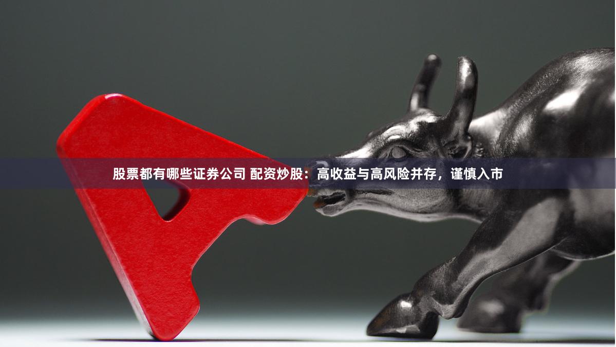 股票都有哪些证券公司 配资炒股：高收益与高风险并存，谨慎入市